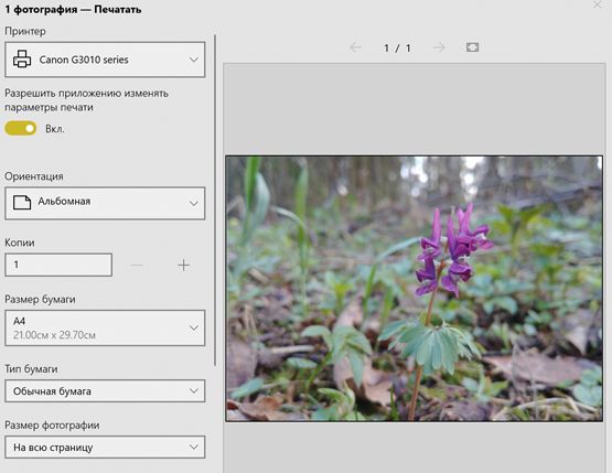 Запуск печати изображения из приложения «Фотографии»