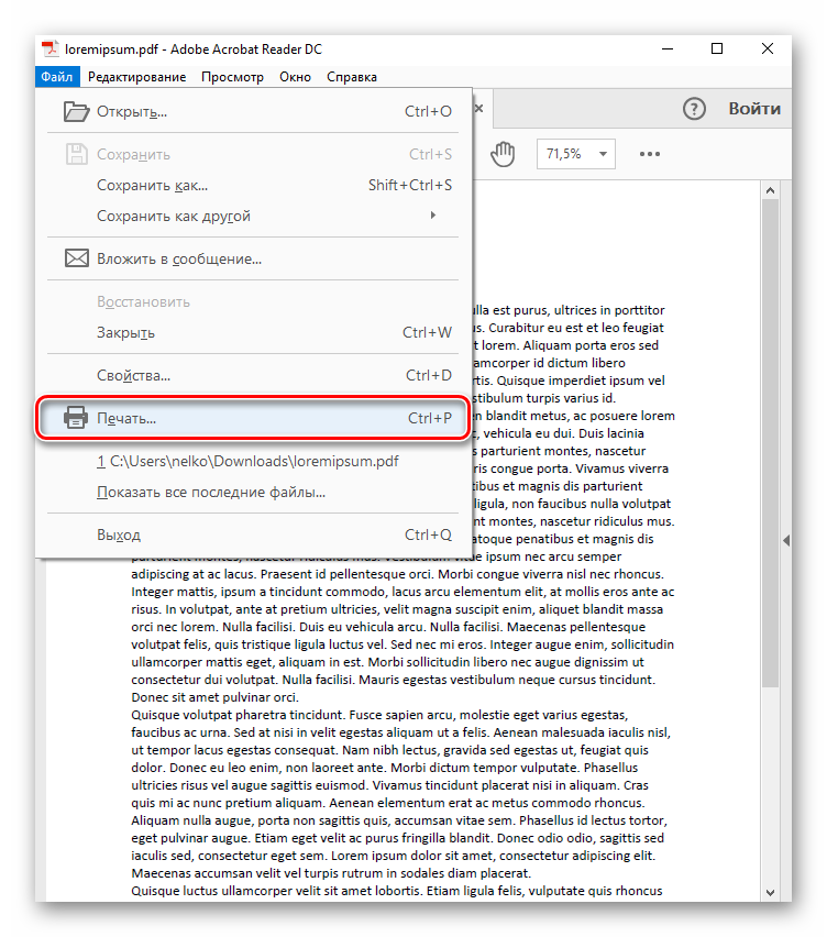 Открытие меню печати в Adobe Acrobat Pro DC