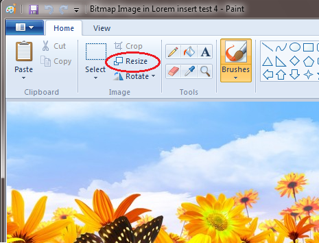 Способ 1. Как изменить размер картинки с помощью Microsoft Paint - 2